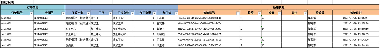巡檢報表